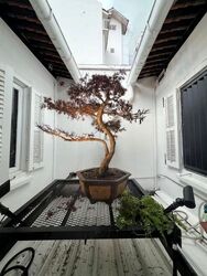 Tanjong Pagar Road (D2), Shop House #596418721